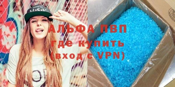 прущие грибы Заволжье