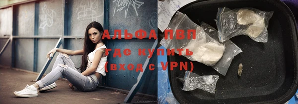 прущие грибы Заволжье