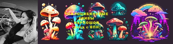 прущие грибы Заволжье