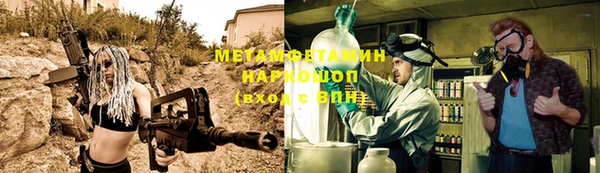 прущие грибы Заволжье