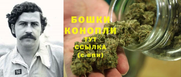прущие грибы Заволжье