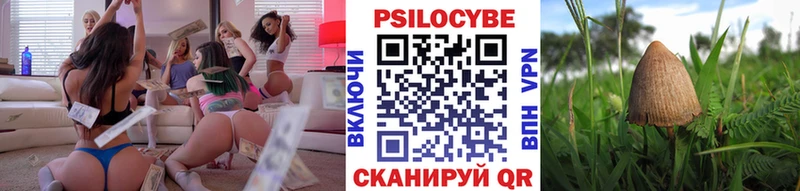 Псилоцибиновые грибы Cubensis  Купить  Мышкин 